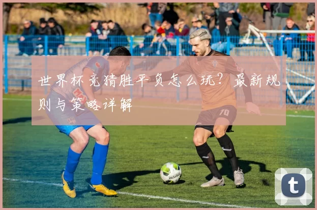 世界杯竞猜胜平负怎么玩？最新规则与策略详解