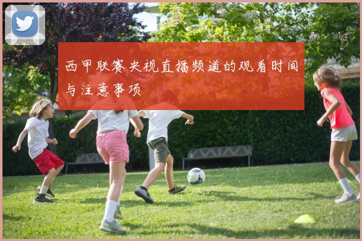 西甲联赛央视直播频道的观看时间与注意事项