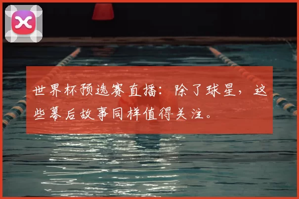 世界杯预选赛直播:除了球星,这些幕后故事同样值得关注。
