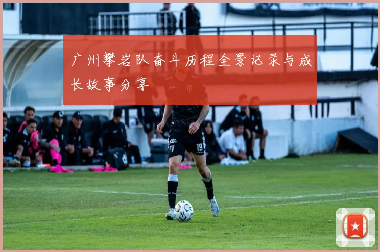 广州攀岩队奋斗历程全景记录与成长故事分享