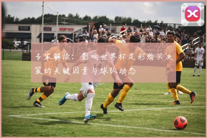 专家解读：影响世界杯足彩购买决策的关键因素与球队动态
