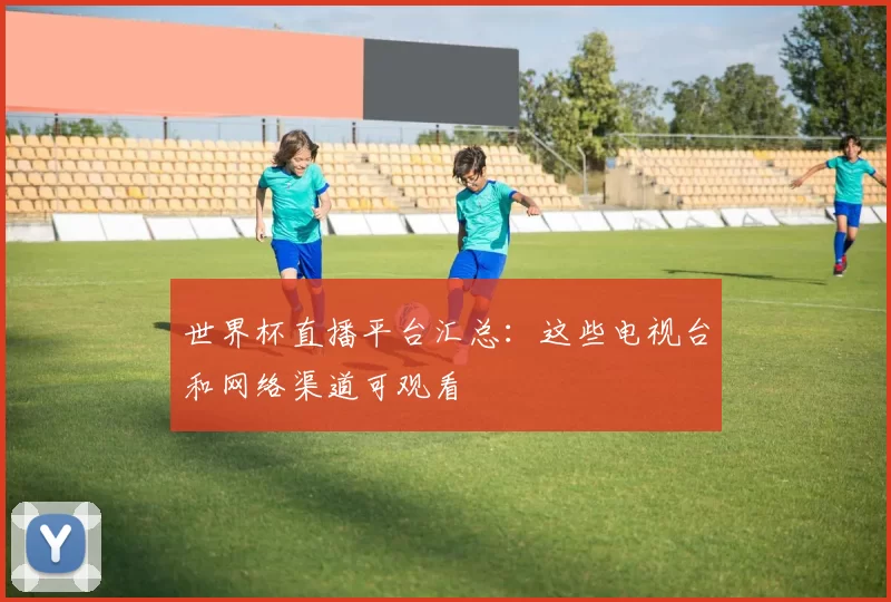 世界杯直播平台汇总：这些电视台和网络渠道可观看