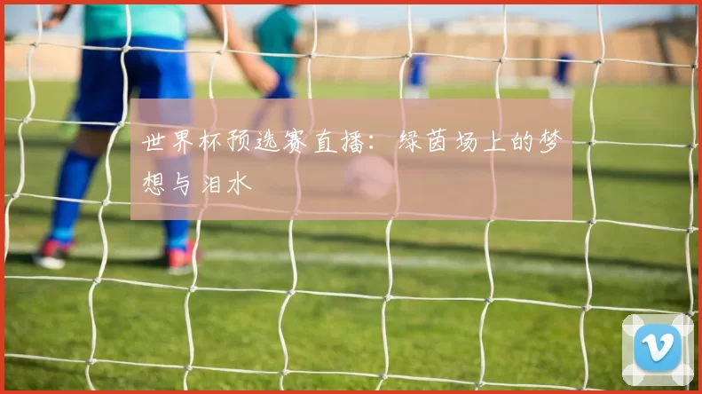 世界杯预选赛直播:绿茵场上的梦想与泪水
