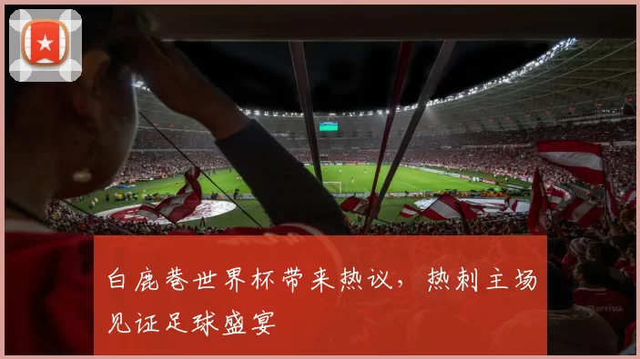 白鹿巷世界杯带来热议,热刺主场见证足球盛宴