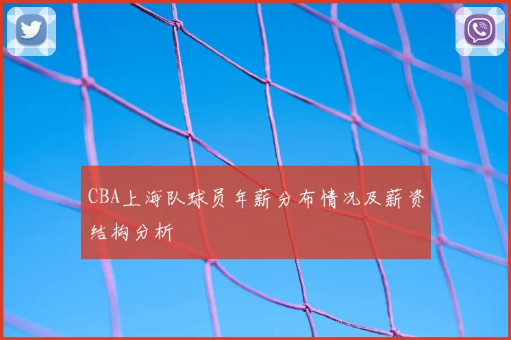 CBA上海队球员年薪分布情况及薪资结构分析