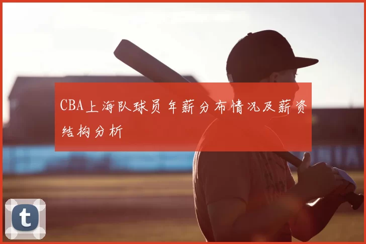 CBA上海队球员年薪分布情况及薪资结构分析