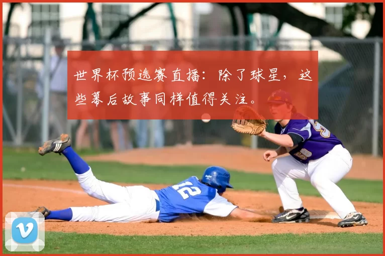 世界杯预选赛直播：除了球星，这些幕后故事同样值得关注。