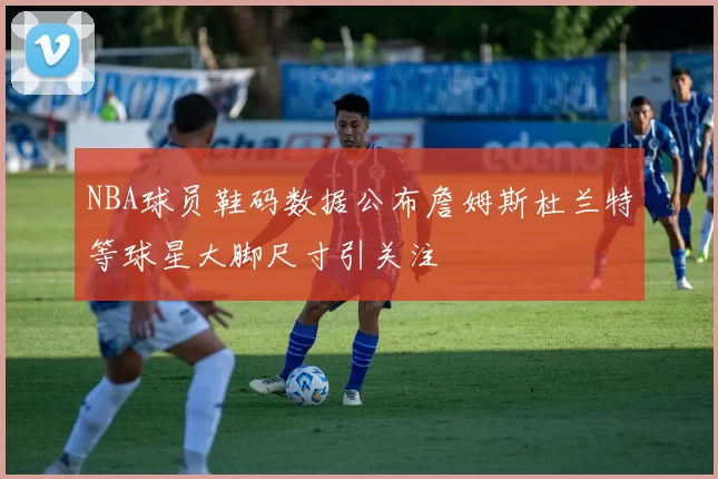 NBA球员鞋码数据公布詹姆斯杜兰特等球星大脚尺寸引关注
