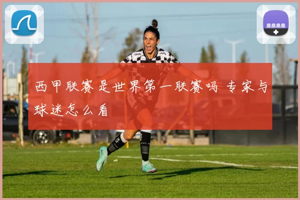 西甲联赛是世界第一联赛吗 专家与球迷怎么看