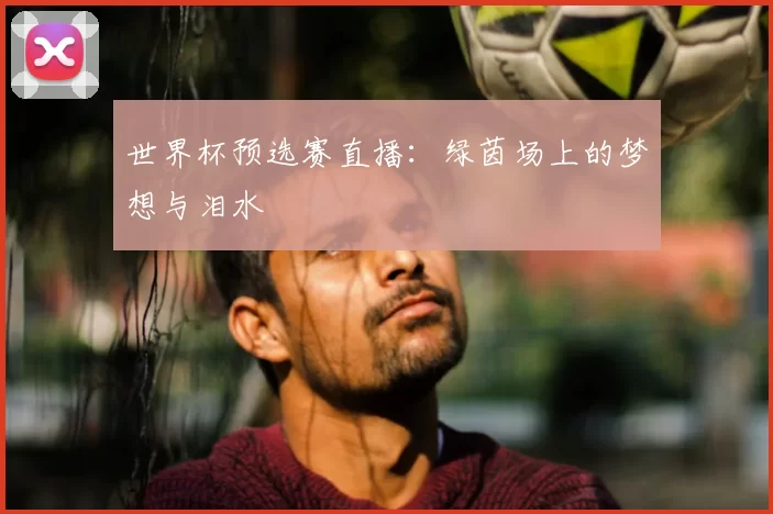 世界杯预选赛直播：绿茵场上的梦想与泪水