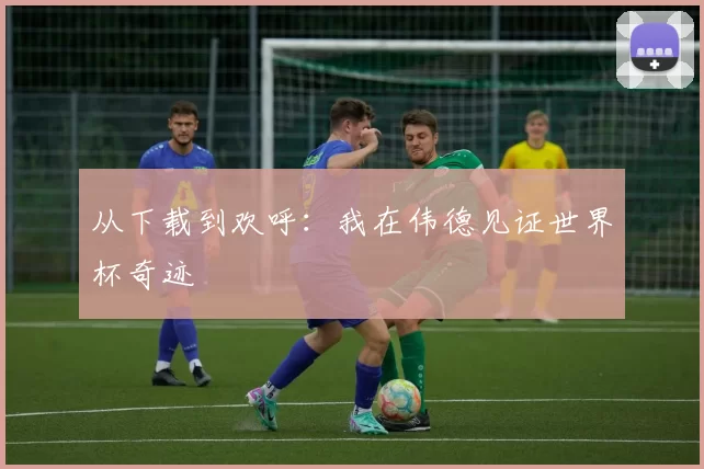 从下载到欢呼:我在伟德见证世界杯奇迹