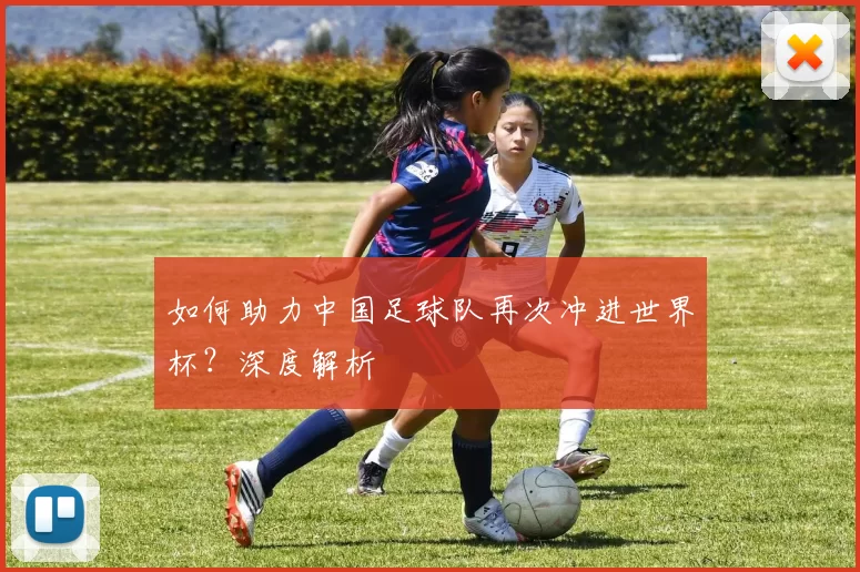 如何助力中国足球队再次冲进世界杯？深度解析
