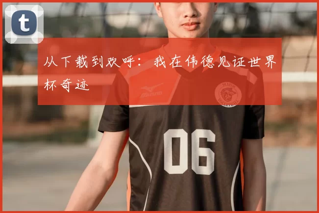 从下载到欢呼：我在伟德见证世界杯奇迹