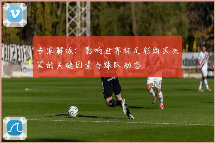 专家解读:影响世界杯足彩购买决策的关键因素与球队动态