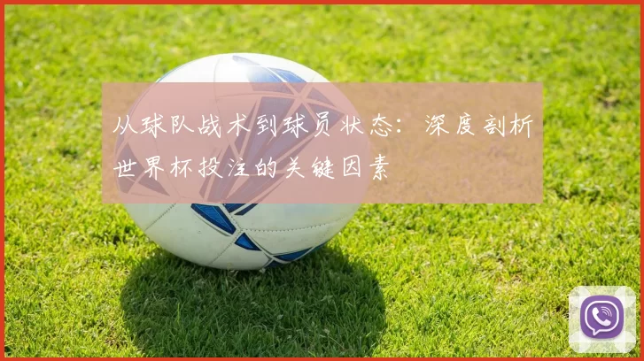从球队战术到球员状态:深度剖析世界杯投注的关键因素